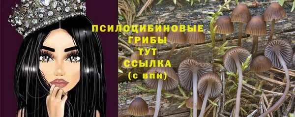 экстази Россошь