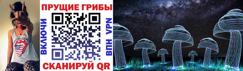 Купить закладки  Вытегра  Псилоцибиновые грибы Psilocybine cubensis 